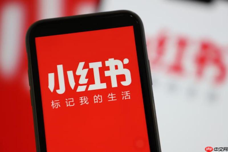 小红书网页版官方入口链接 小红书官网网页版在线访问通道