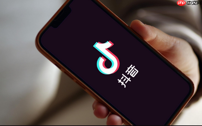 抖音网页版官方入口_抖音网页版在线使用教程