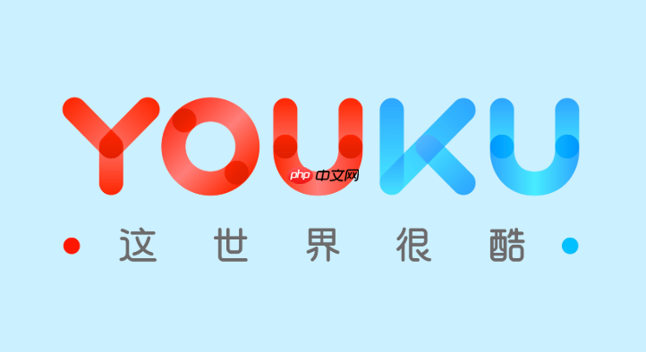 优酷会员付费后没到账怎么办_优酷会员充值异常及解决方法