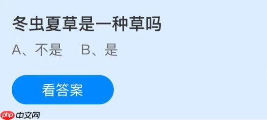 冬虫夏草是一种草吗？蚂蚁庄园课堂今天答案最新11月18日