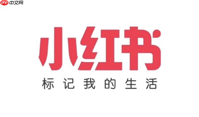 小红书网页版直播在哪