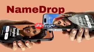iPhone名片投送如何共享联系信息