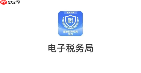 电子税务局官网网页版登录 国家税务总局电子税务局入口