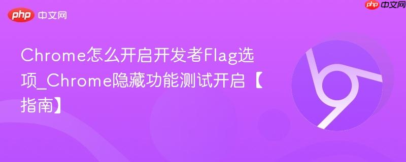 Chrome怎么开启开发者Flag选项_Chrome隐藏功能测试开启【指南】