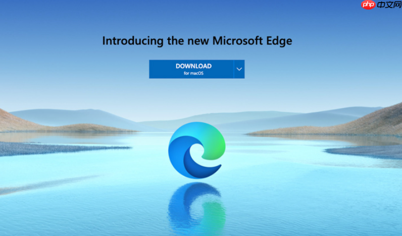 edge浏览器取消手势 触控板手势关闭路径