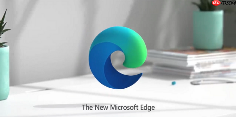 Edge浏览器如何开启地址栏的快速选项卡搜索_Edge浏览器标签搜索技巧