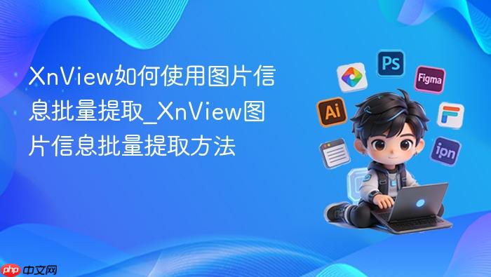 XnView如何使用图片信息批量提取_XnView图片信息批量提取方法
