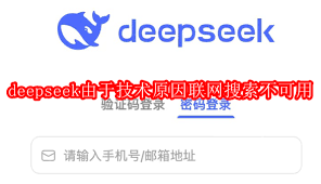 deepseek联网搜索不可用怎么办-deepseek因技术原因联网搜索不可用如何解决
