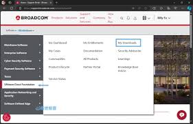 可以免费下载VMware吗-如何免费获取VMware工具