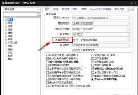 PotPlayer如何设置单窗口模式-如何在PotPlayer中设置只打开一个播放窗口