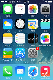 苹果手机无法上网-如何在苹果手机上设置网络