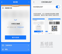 付款码隐私保护开启与否-如何正确设置付款码隐私保护
