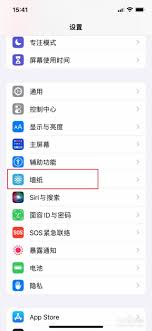 xr苹果手机如何设置动态壁纸-xr苹果手机动态壁纸设置教程