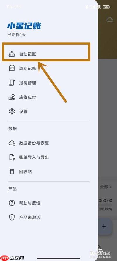 小星记账手机版如何关闭金额千位分隔符