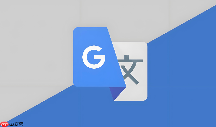 Goole翻译官网打不开？最新访问地址及备选
