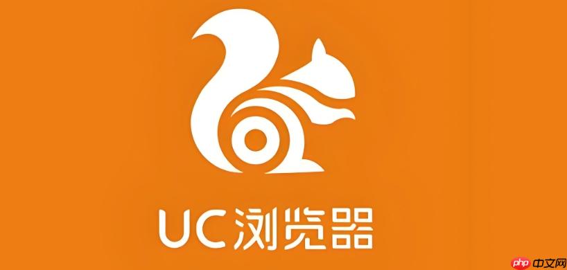 UC浏览器电脑版CPU占用率过高时该如何优化？