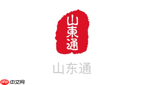 山东通登录密码怎么填_山东通登录信息填写说明