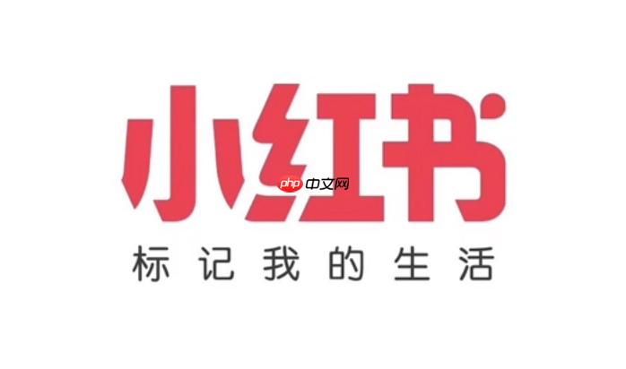 小红书pc端官网地址 小红书官方网页登录入口