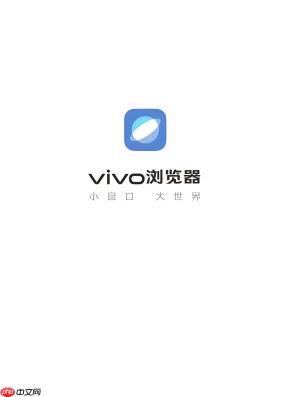 vivo浏览器如何开启网页录音权限？