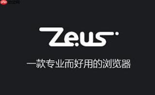 宙斯浏览器访问ERP页面空白该如何修复？