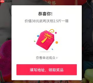 抢福袋最聪明的办法