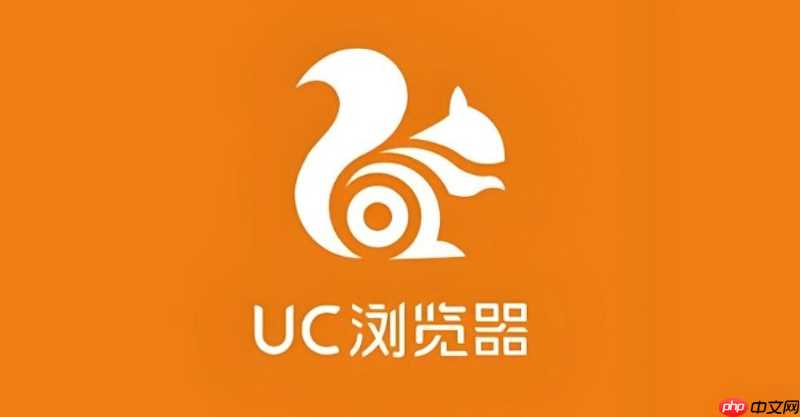 怎么清理UC浏览器中针对特定网站的Cookie缓存？
